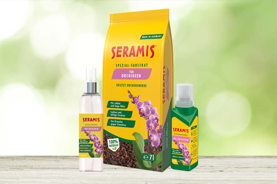 Das SERAMIS® System für Orchideen